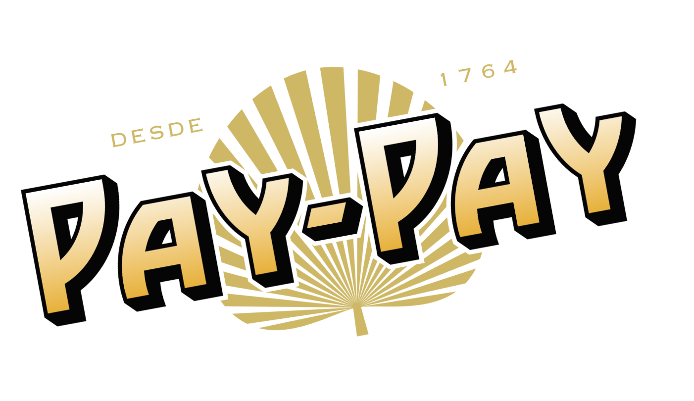 PAY-PAY_corp_desde_col_pos_rotate